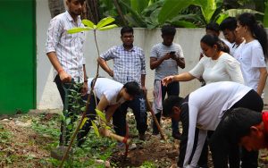 Tree Plantation Drive 2